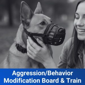 Aggressive/ Behavior Modification Board and Train