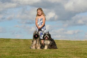 Training Tips for Families With Kids and Dogs