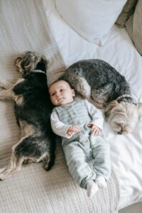 Training Tips for Families With Kids and Dogs