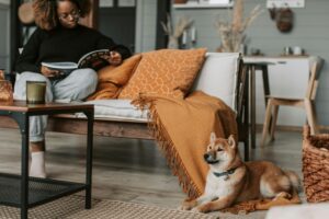 Back-2-School: Smooth Transitions for a Happy, Confident Dog