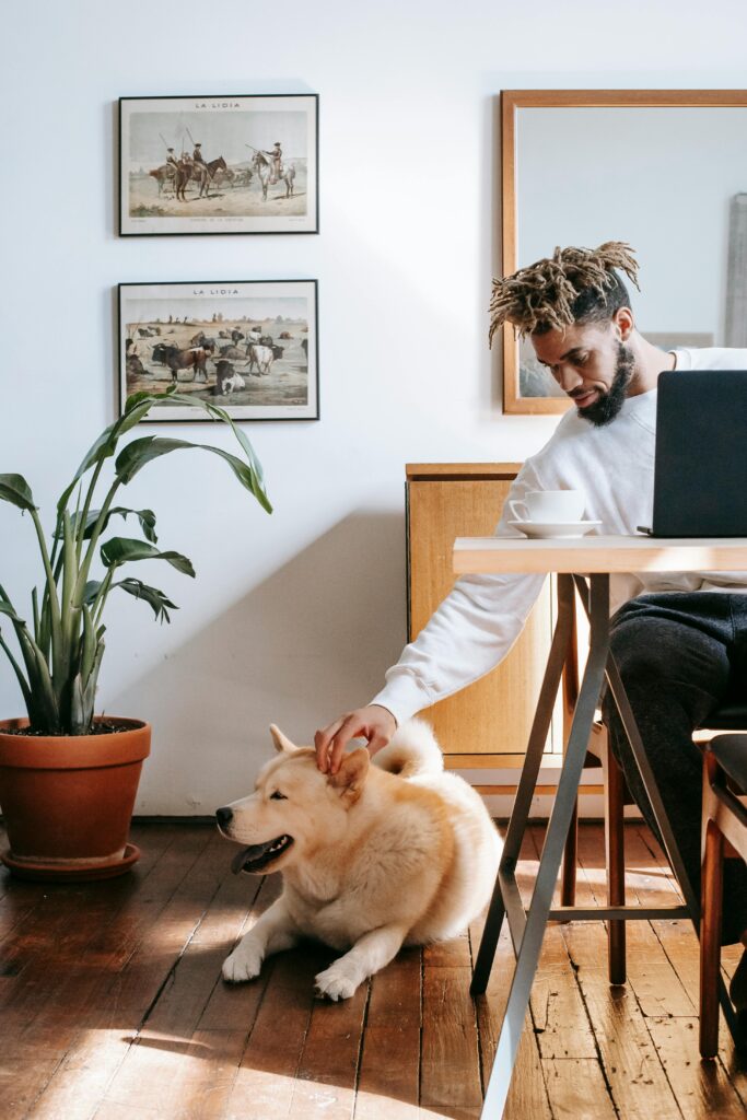 Socialization 101: Proven Confidence Boost for Dogs