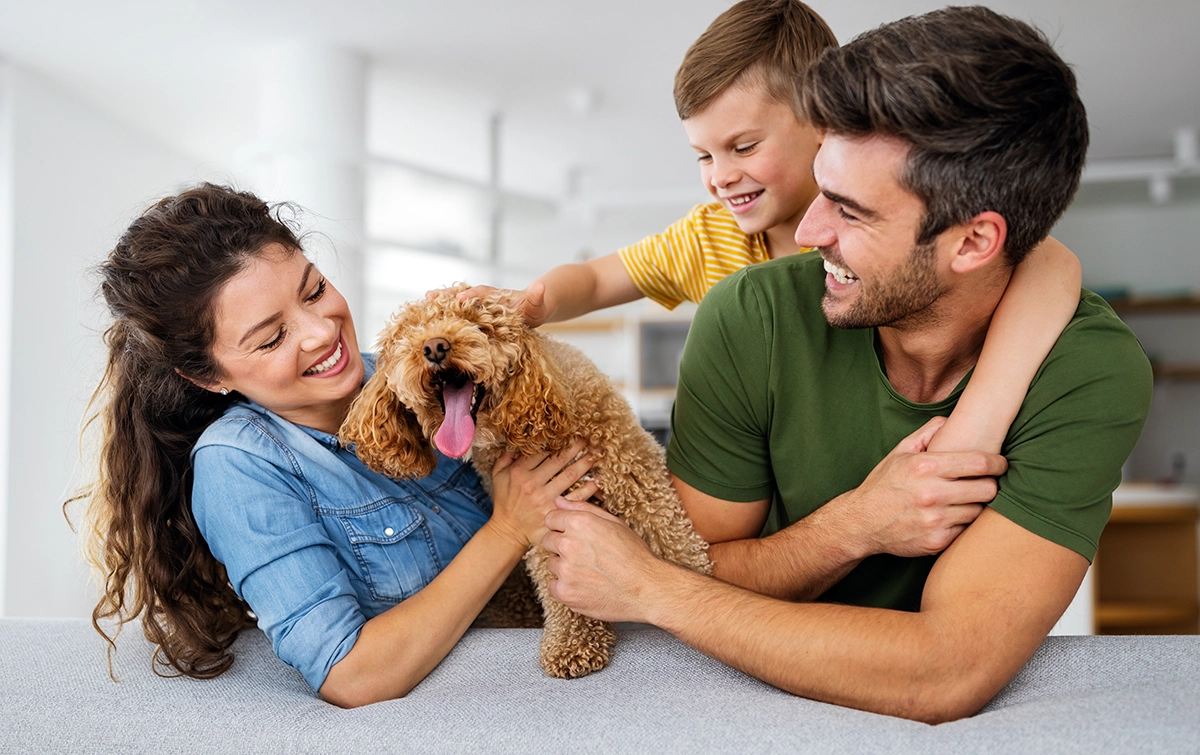Best family dogs for North Alabama - Happy families with Labrador Retrievers, Golden Retrievers, and other family-friendly breeds trained by Off Leash K9 Training Huntsville